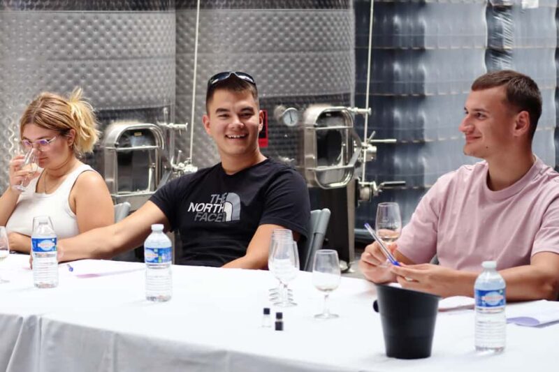 Ardèche: Tour and tasting of wines aged in amphorae and barrels - The Expertise of Knowledgeable Guides in French and English