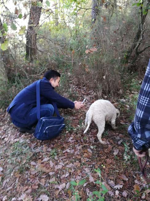 Arezzo: truffle hunting, tasting, cooking class with truffles. - Key Points