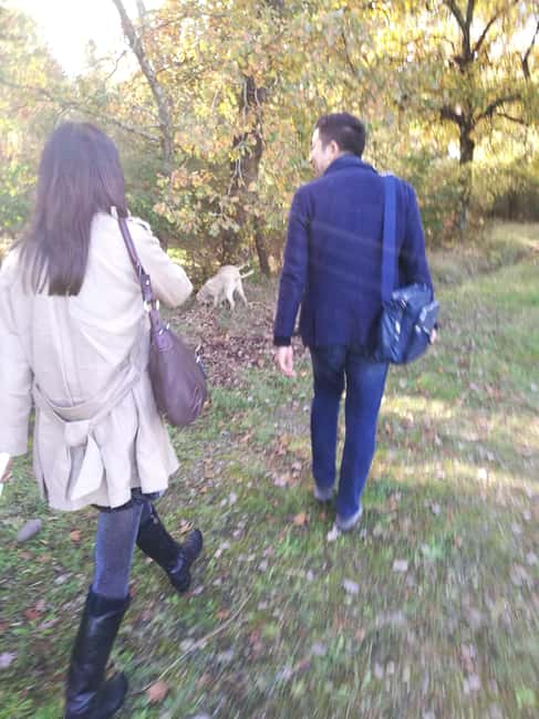 Arezzo: truffle hunting, tasting, cooking class with truffles. - Tasting and Cooking with Seasonal Truffles