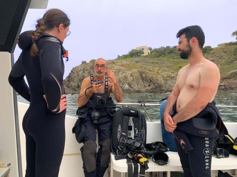 Argelès-sur-Mer : first dive in the Marine Natural Park - Key Points
