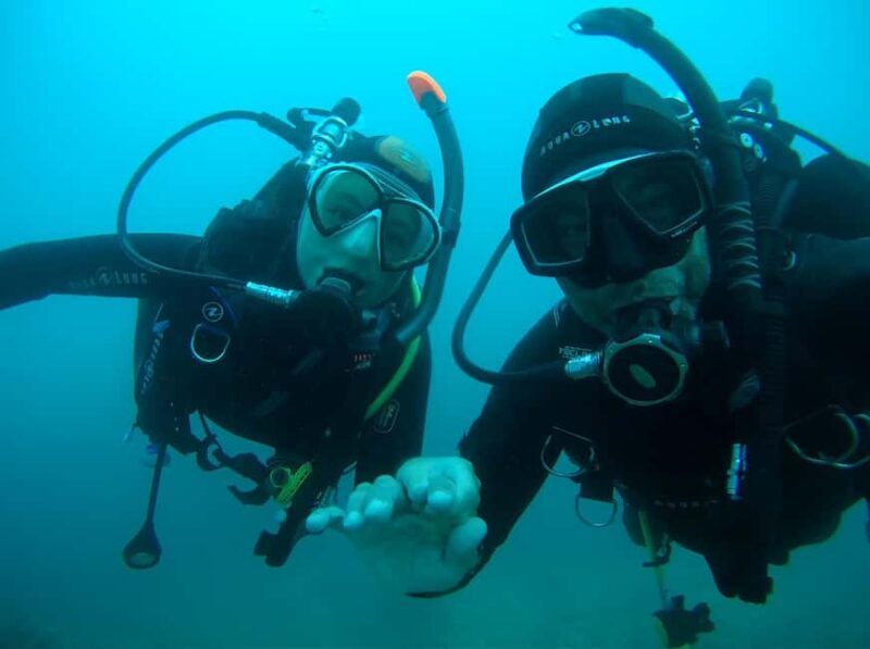 Argelès-sur-Mer : first dive in the Marine Natural Park - How the Tour Begins at Magellan Dive Center