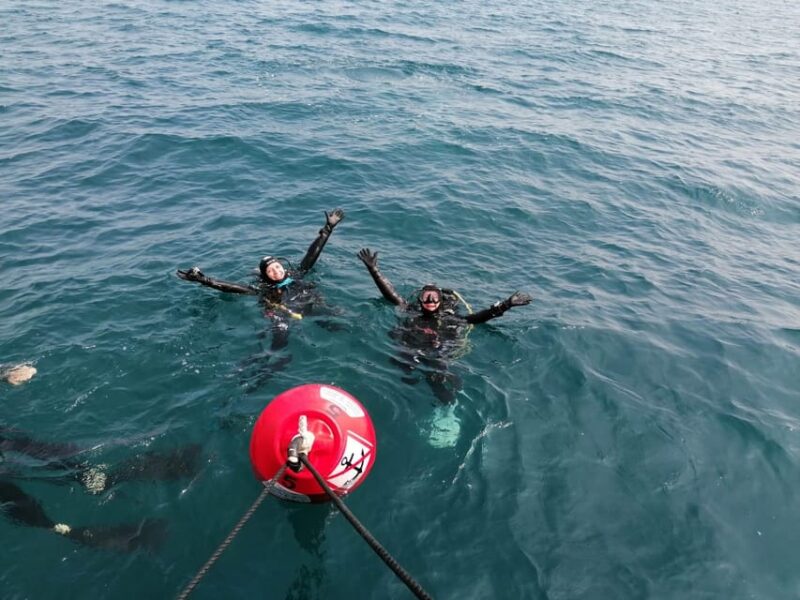 Argelès-sur-Mer : first dive in the Marine Natural Park - What to Expect During the Dive Experience