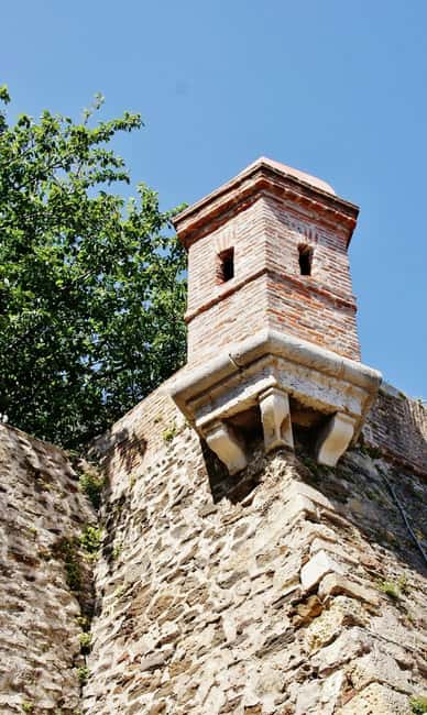Argelès-sur-Mer: Nature, vineyards, and landscapes of Catalonia - Visiting the Banyuls-sur-Mer Vineyards for Sweet Wines