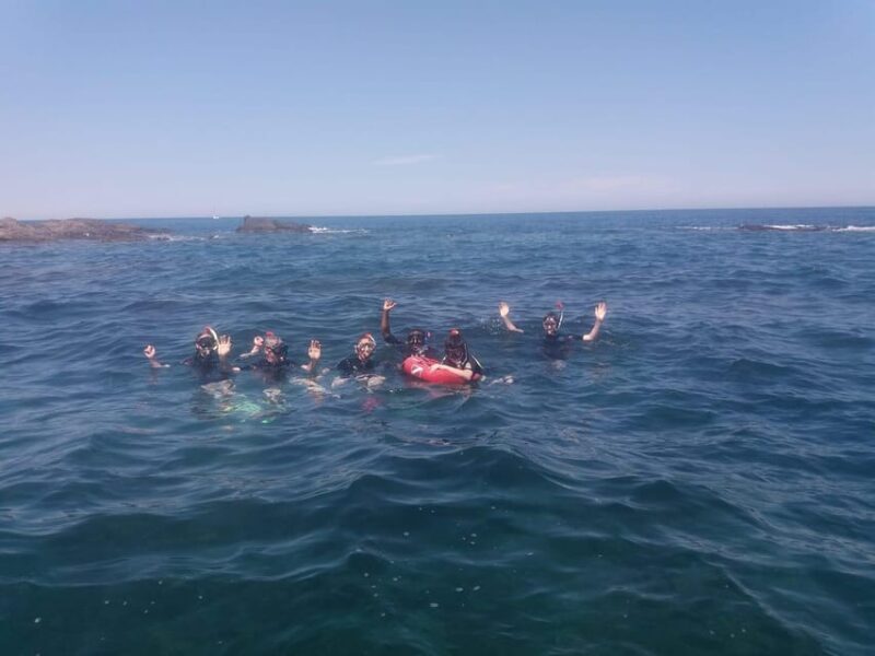 Argelès-sur-Mer: snorkeling into the Marine Natural Park - What the Snorkeling in the Marine Natural Park Entails