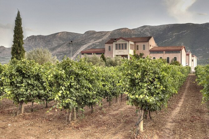 Argo Cultural Arts and Tastings Private Tour - Visiting the Vineyards and Wrapping Up in Argo