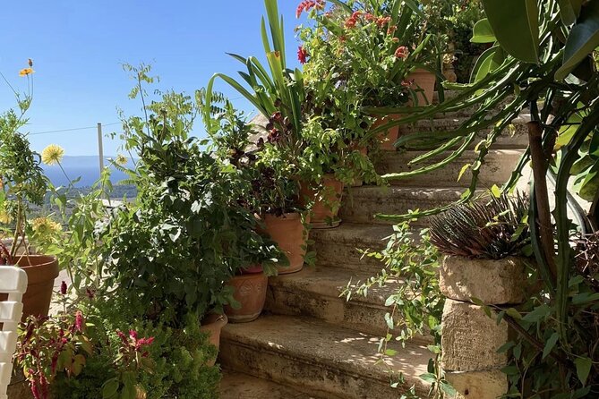 Argostoli and Beyond: A Journey through Villages - Monastery of Agios Gerasimos: Serenity and Heritage