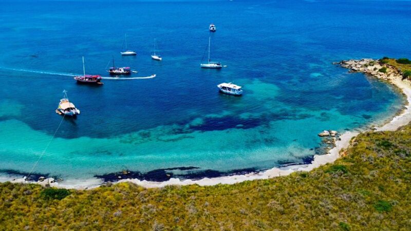 Argostoli: Full-Day Boat Cruise with Lunch - Accessibility and Group Size