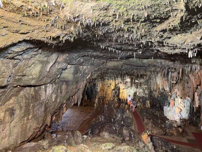 Argostoli: Melissani Lake, Drogarati Cave, and Myrtos Beach - Key Points