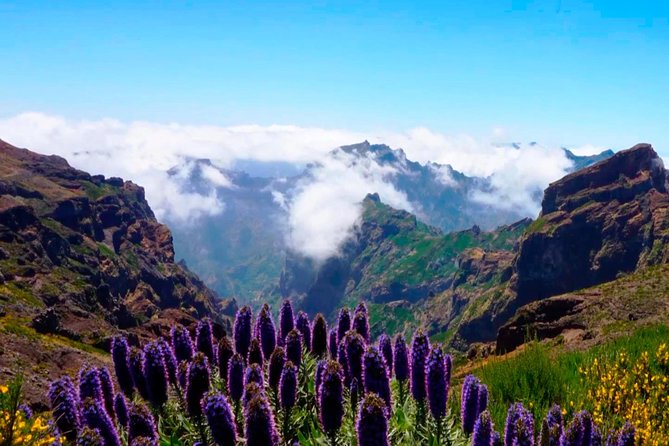 Arieiro Peak, Santo da Serra and Cristo Rei 4x4 Experience - Small Group Advantage for Personalized Exploration