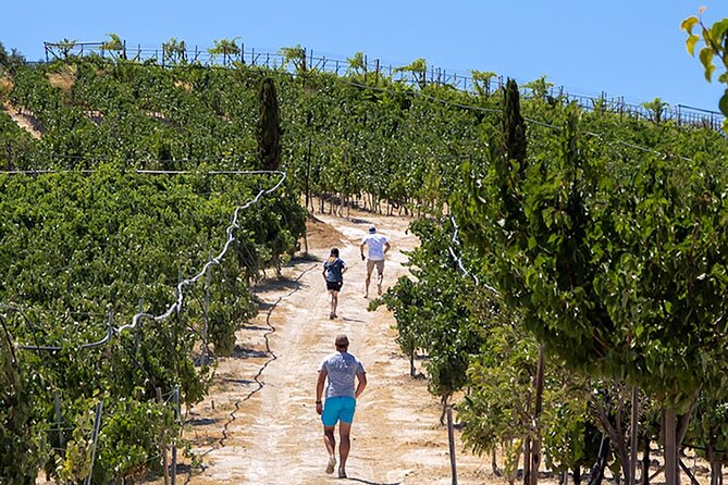 ARISMARI  Vineyard Tour & Wine Tasting - Explore the Crete Vineyard with a Guided Tour and Wine Tasting
