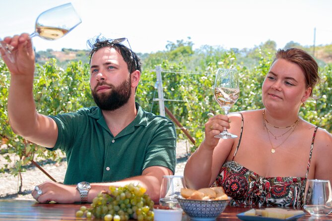 ARISMARI  Vineyard Tour & Wine Tasting - Wine and Olive Oil Tasting: A Cretan Culinary Delight