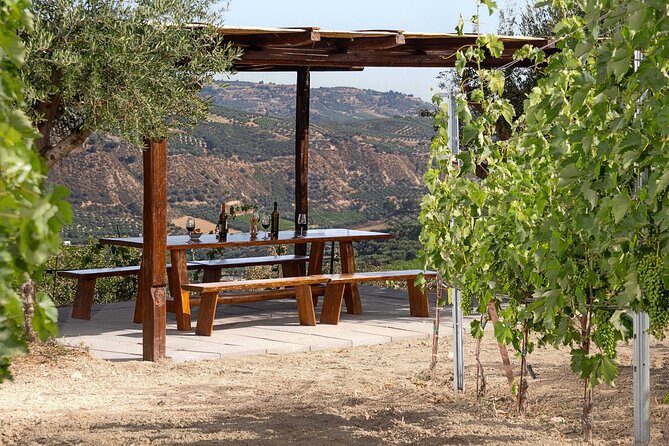 ARISMARI  Vineyard Tour & Wine Tasting - Practical Details: Meeting Point and Group Size