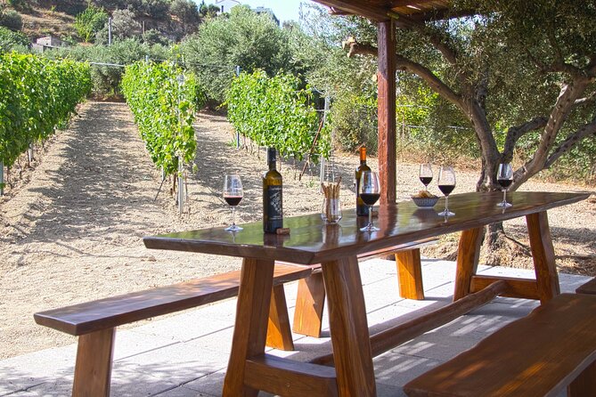 ARISMARI  Vineyard Tour & Wine Tasting - Weather Policy and Alternative Options