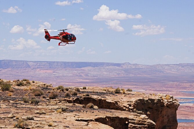 Arizona Desert Helicopter Tour Including Tower Butte Landing - Comparing Morning and Afternoon Flights