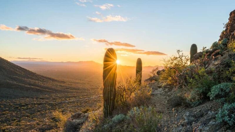 Arizona: Great Western Trail Jeep Tour Adventure - Key Points