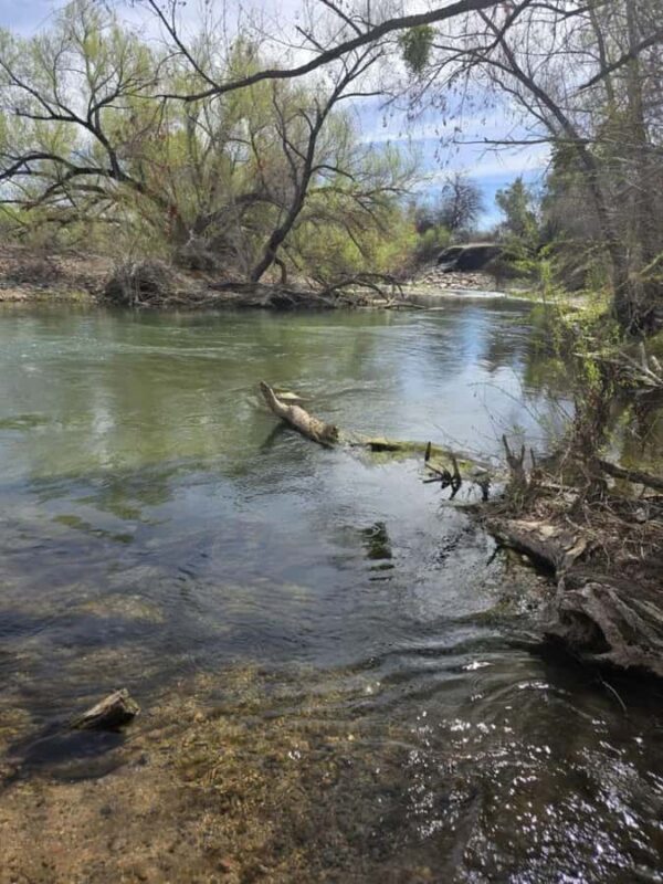 Arizona: Great Western Trail Jeep Tour at Rio Verde - Comparing the Great Western Trail Jeep Tour with Other Arizona Experiences