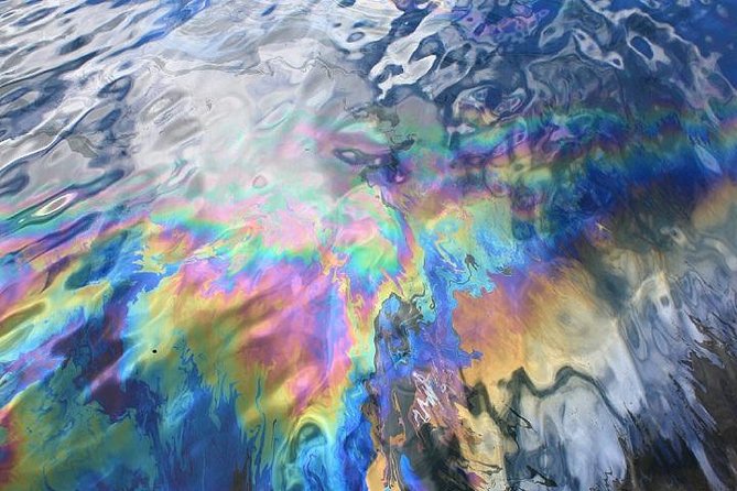 Arizona Memorial Pearl Harbor & Honolulu City Tour from Waikiki - Strengths and Considerations