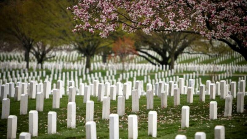 Arlington Cementary & Guard Ceremony with Iowa Jima Memorial - Who Should Book This Tour