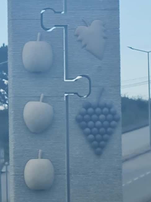 Armamar: Apple Orchard Tour with Lunch and Tastings - Learning About Apple Juice and Vinegar Production Methods