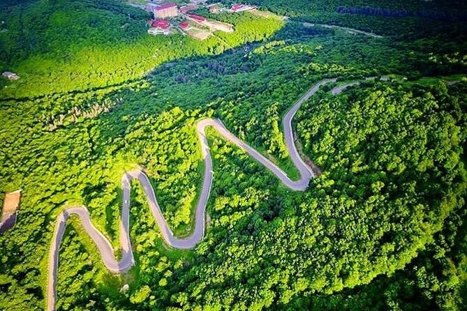 Armenia Day Trip from Tbilisi: Private Experience - Flexible Return to Tbilisi with Comfortable Drop-Off