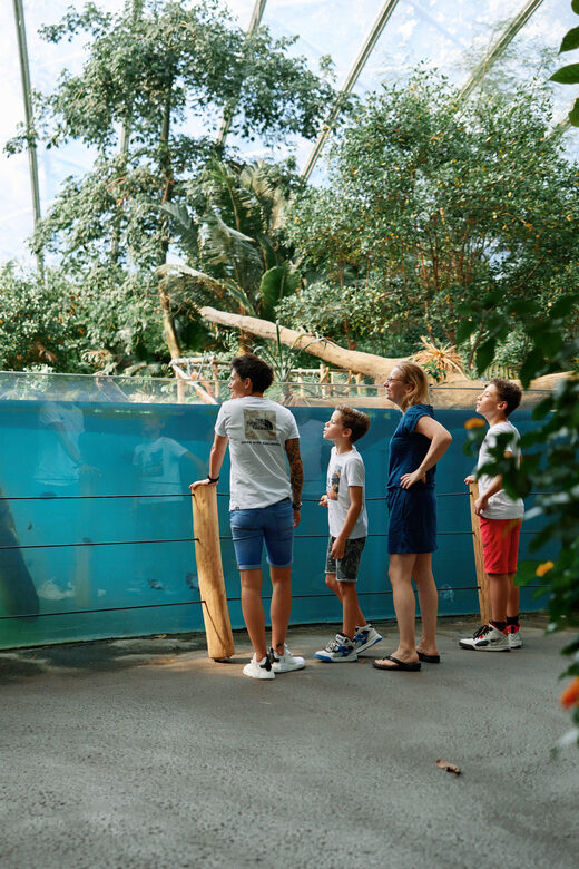 Arnhem: Burgers' Zoo Entry Ticket - Key Points