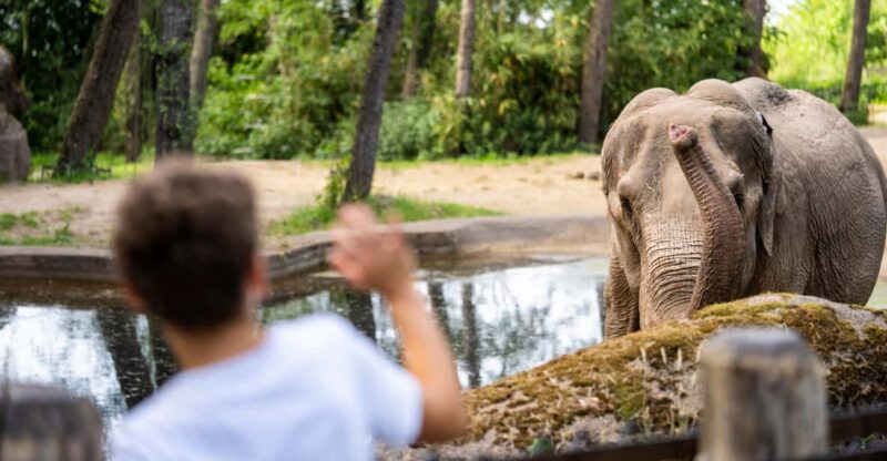 Arnhem: Burgers' Zoo Entry Ticket - Exploring the Desert, Coral Reef, and Savannah Sections