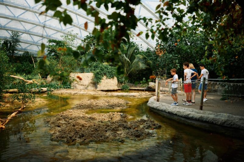 Arnhem: Burgers' Zoo Entry Ticket - The Experience of Walking Through the Jungle