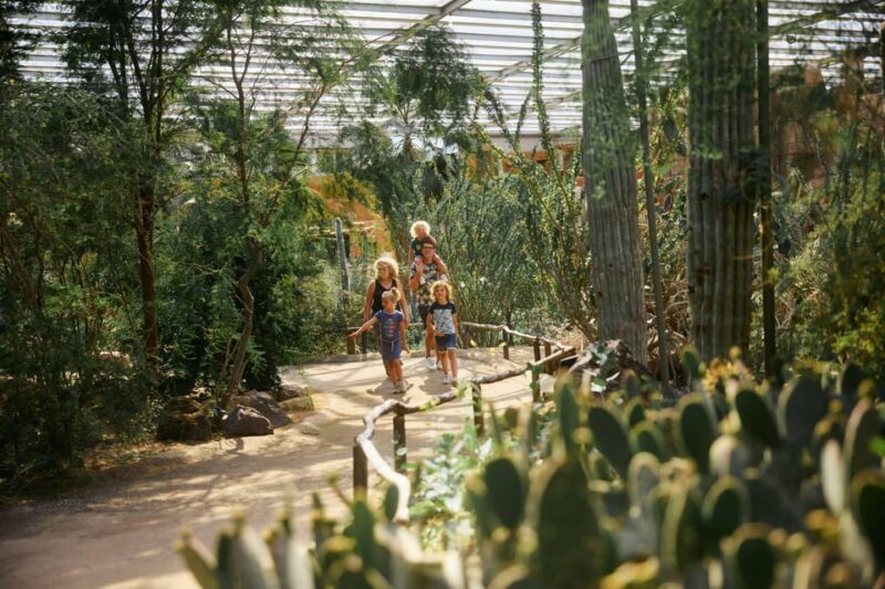 Arnhem: Burgers' Zoo Entry Ticket - Practical Details: Timing, Accessibility, and Booking