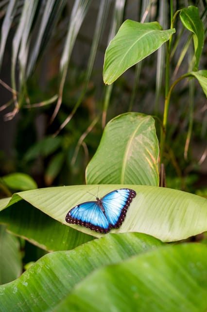 Arnhem: Burgers' Zoo Entry Ticket - Comparing Burgers Zoo to Other Attractions