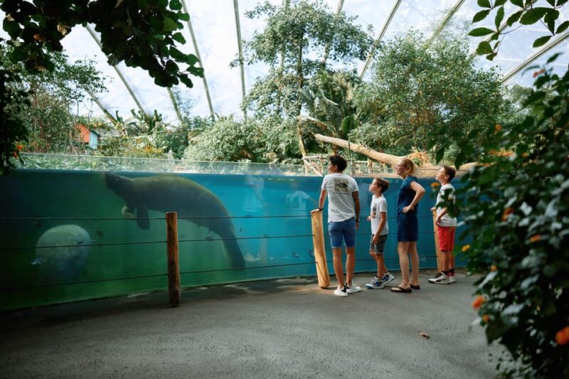 Arnhem: Burgers' Zoo Entry Ticket - Why Visitors Keep Coming Back to Burgers Zoo