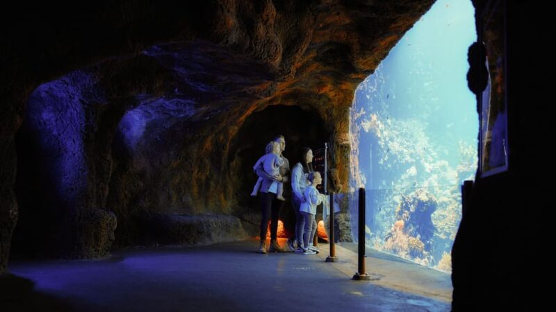 Arnhem: Burgers' Zoo Entry Ticket - Frequently Asked Questions