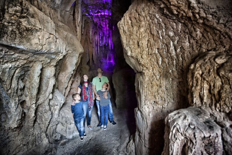 Arona: Entry Ticket to Tenerife's Jungle Park Zoo - Practical Information and Accessibility