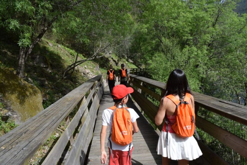 Arouca: Guided Tour Paiva Walkways + 516 Suspension Bridge - An Exciting 4-Hour Adventure in Arouca for Nature and Architecture Enthusiasts