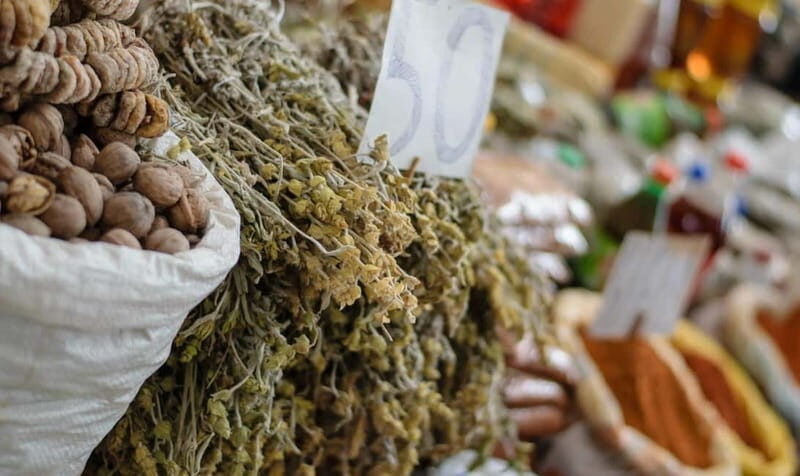 Around the lake Albania from Ohrid and Struga. - Bay of Bones: A Prehistoric Photo Stop