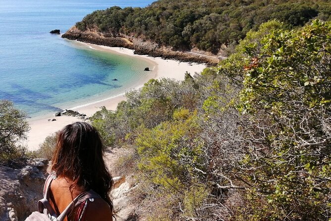 Arrábida: Beach, Nature & History - Breathtaking Viewpoints of Lisbon, Sintra, and Movie Locations