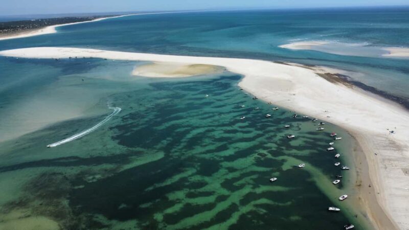 Arrábida: Boat Tour Experience - Meeting Point and Group Size
