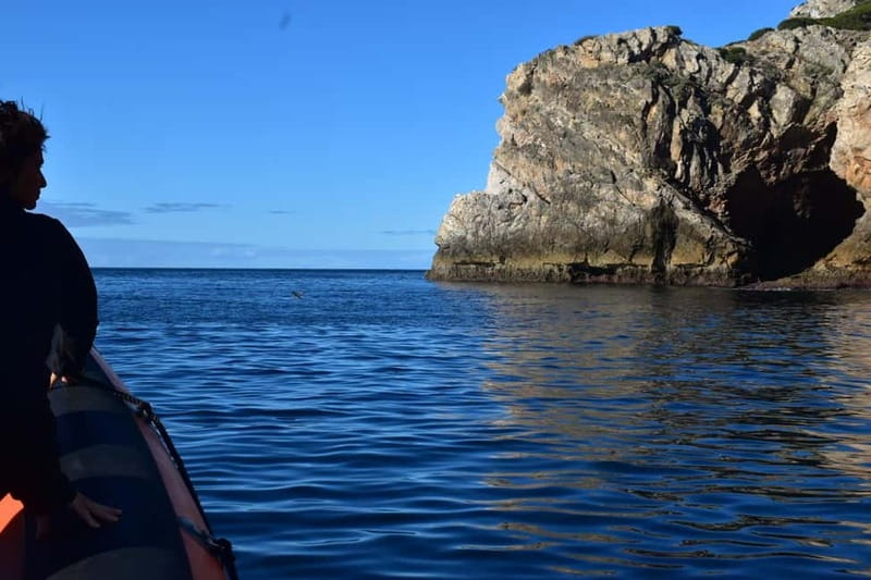 Arrábida by Boat - Accessibility and Physical Considerations