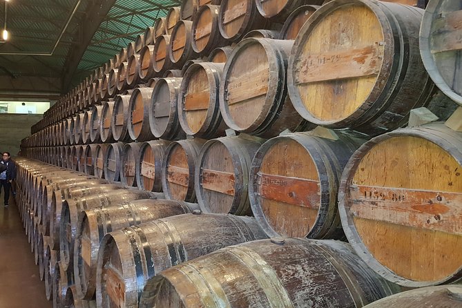 Arrábida culture, wine and gastronomic experience - Tasting Wines at a Historic Palmela Winery