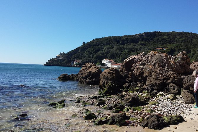 Arrábida culture, wine and gastronomic experience - Traditional Tile Workshops in Azeitão