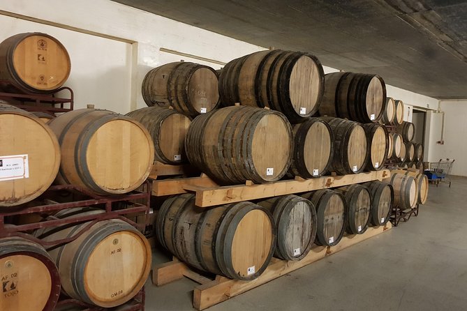 Arrábida culture, wine and gastronomic experience - Breath-taking Views from Serra da Arrábida