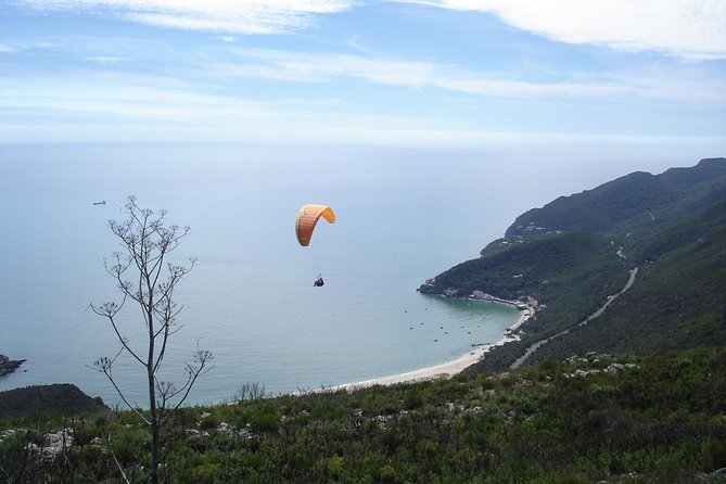 Arrábida culture, wine and gastronomic experience - Visiting a Family-Owned Winery in Azeitão