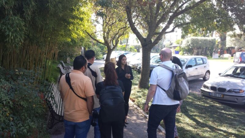 Arrábida: Full-Day Private Tour with Wine Tasting - Key Points