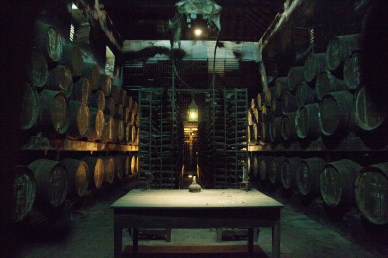 Arrábida: Full-Day Private Tour with Wine Tasting - Wine Tasting at José Maria da Fonseca Cellars in Azeitão