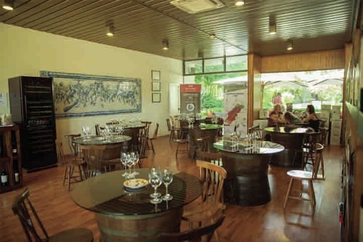 Arrábida: Full-Day Private Tour with Wine Tasting - Logistics and Practical Details of the Tour