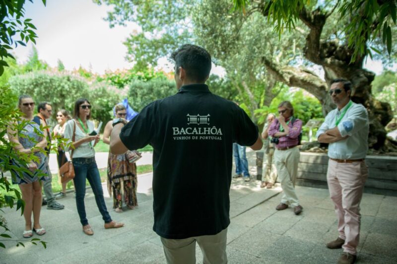 Arrábida: Full-Day Private Tour with Wine Tasting - Final Thoughts on the Arrábida Private Tour with Wine Tasting