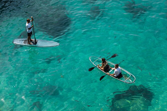 Arrábida: Guided Transparent Kayaking Tour - Key Points