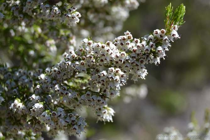 Arrábida Jeep Tour  Incredible Market & Hidden Gems - Exploring Prehistoric and Roman Ruins at Estação Arqueológica do Creiro