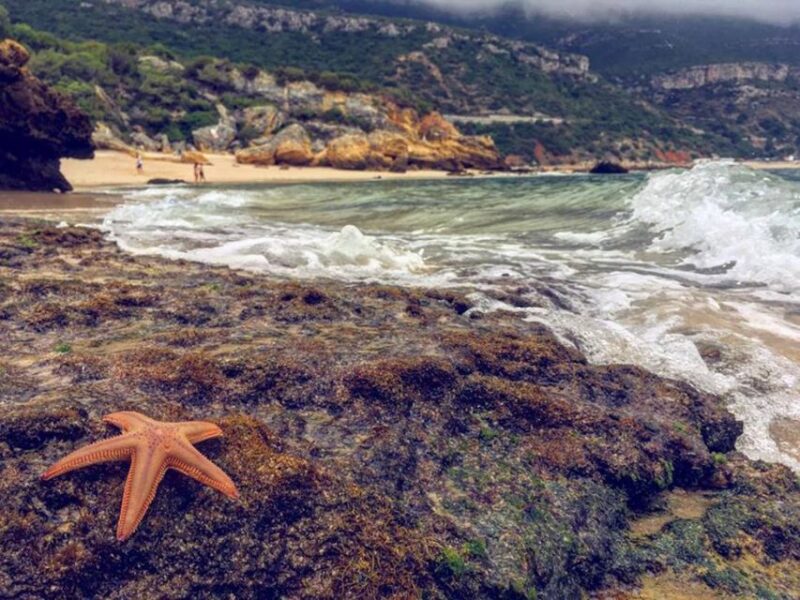 Arrábida Jeep tour to the most beautiful beach of Europe - Exploring Roman Ruins and Local Industry Near the Beach