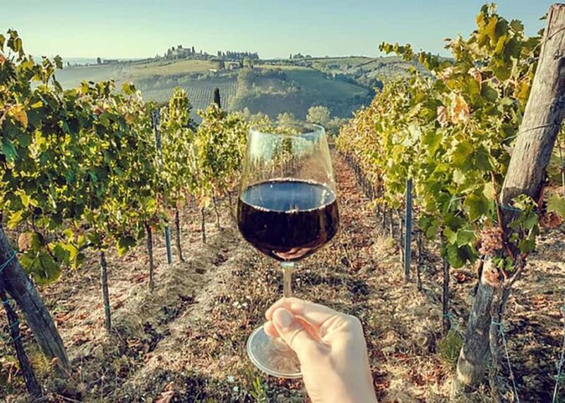 Arrábida: Jeep Tour with Wine Tasting and Tile Factory - Who Will Appreciate This Tour?