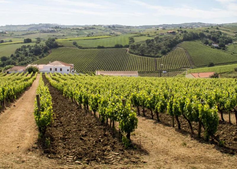 Arrábida: Jeep Tour with Wine Tasting and Tile Factory - Limitations and Considerations